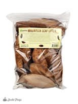 Preview image 1 for Magnolia Leaf Litter (1 Gallon) by Josh's Frogs