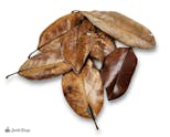 Preview image 2 for Magnolia Leaf Litter (1 Gallon) by Josh's Frogs